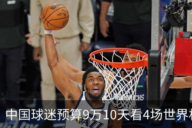 中国球迷预算9万10天看4场世界杯：为了见梅西和C罗，只好拼了